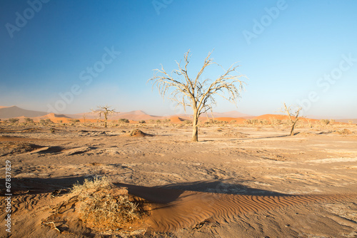 Trek dans la vall  e de la Tsauchab en Namibie