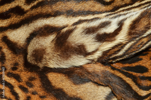 Canvas Print particolare di pelliccia di ocelot