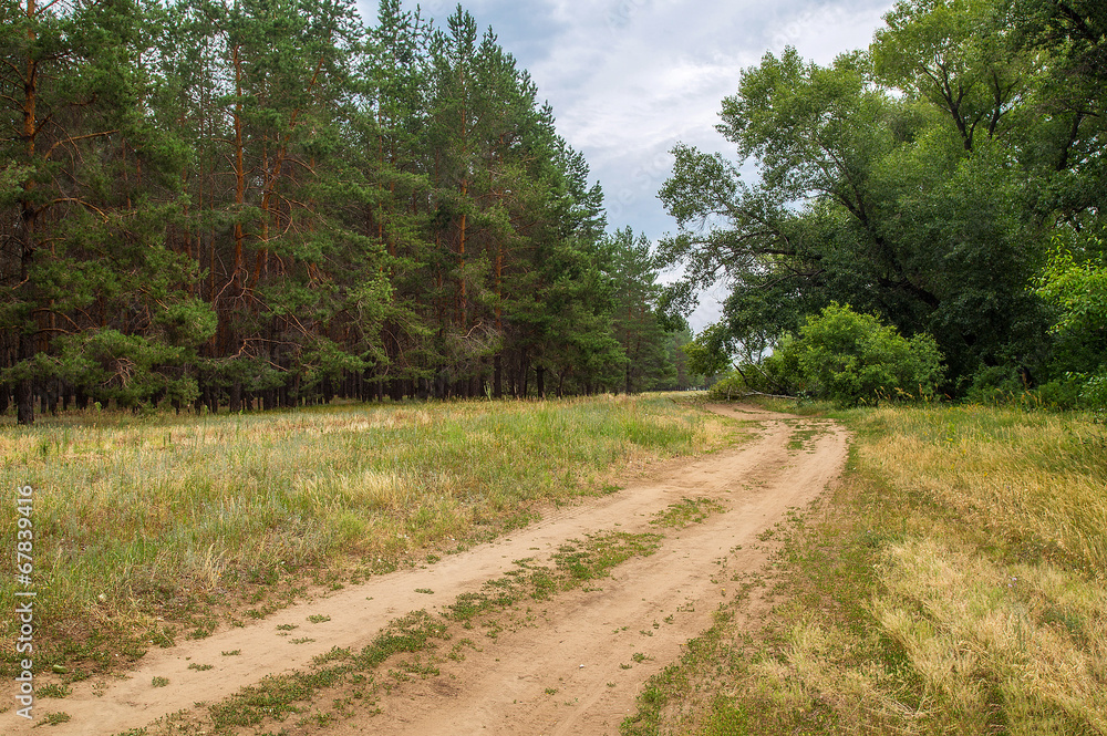 Fototapeta premium дорога