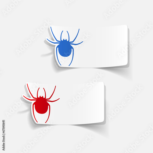 realistic design element: spider