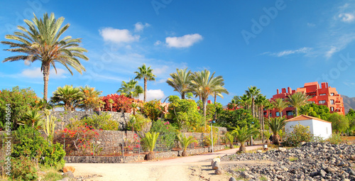 landscape with buildings and Palma, Canary Islands