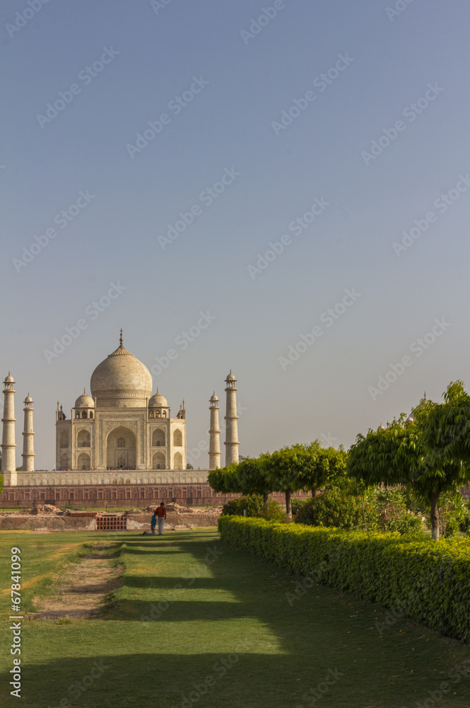 View of Taj Mahal in Agra India