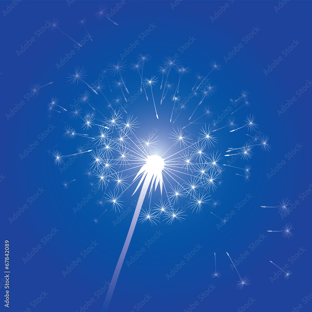 Obraz premium vector illustration of blowing dandelion