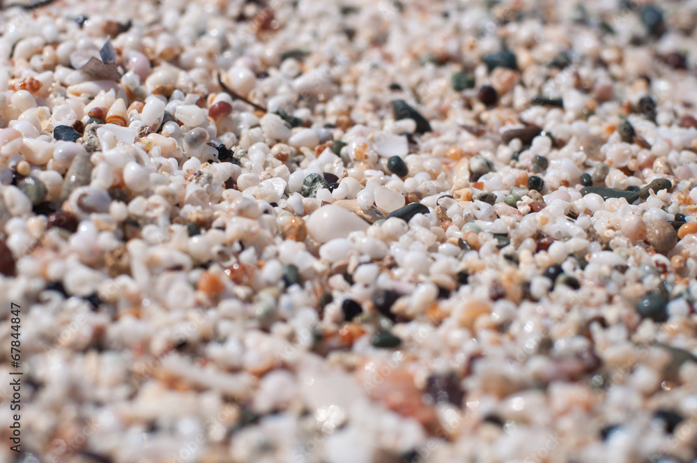 Beach-Small-Shells-Sand in Macro