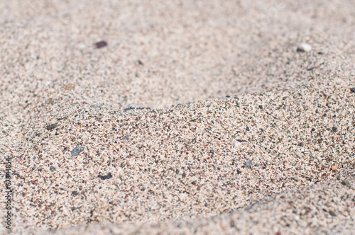 Beach-Small-Shells-Sand