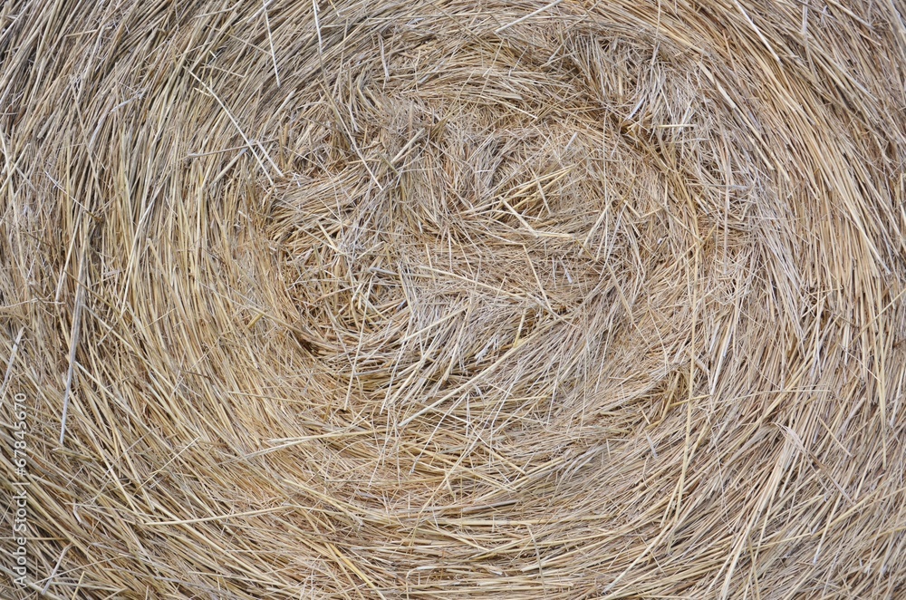 Hay bale as background