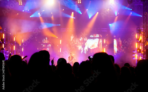 Cheering crowd at concert © erika8213