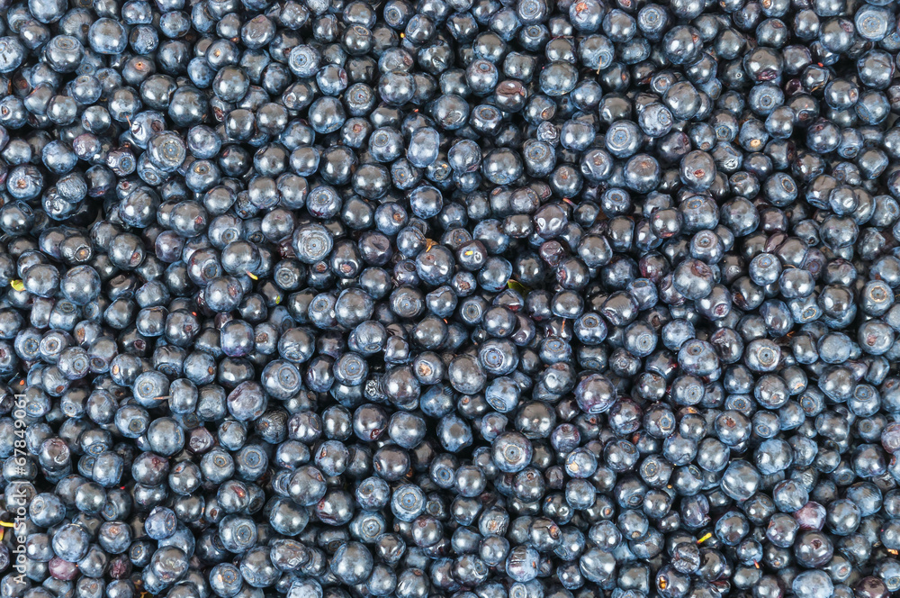 Blueberries background Blueberries background