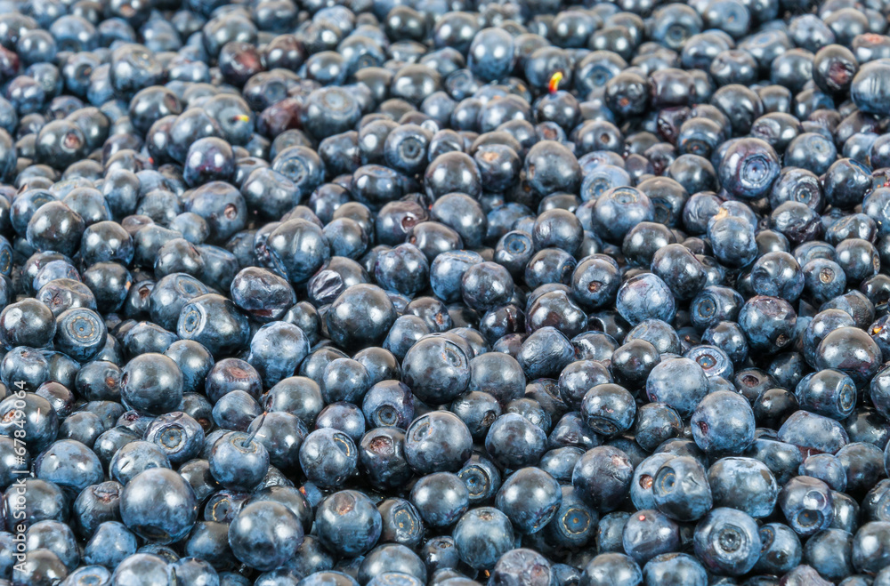 Blueberries background Blueberries background