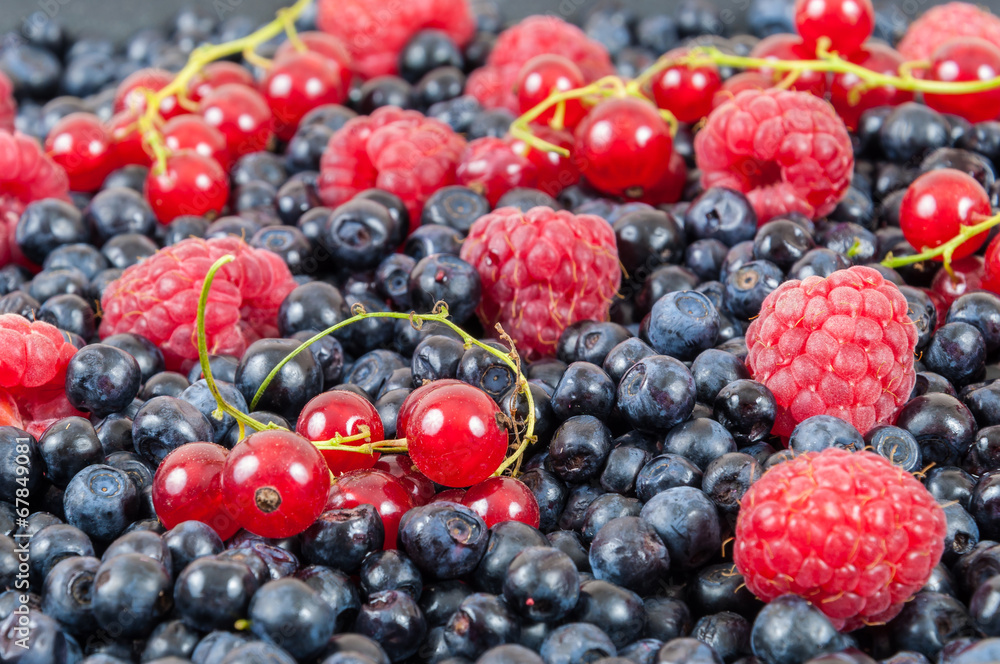 Blueberries raspberries red currant background Blueberries raspberries red currant background