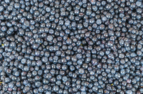 Blueberries background