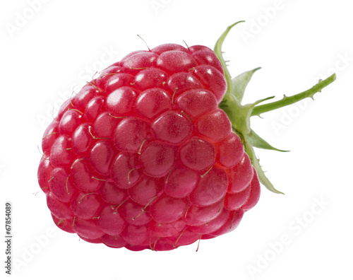 Single isolated raspberry on white background