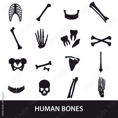 human bones set of icons eps10