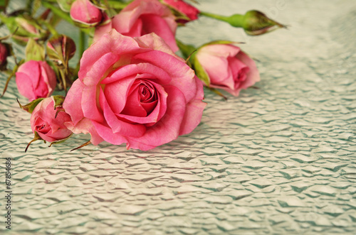 Pink rose flowers on glass