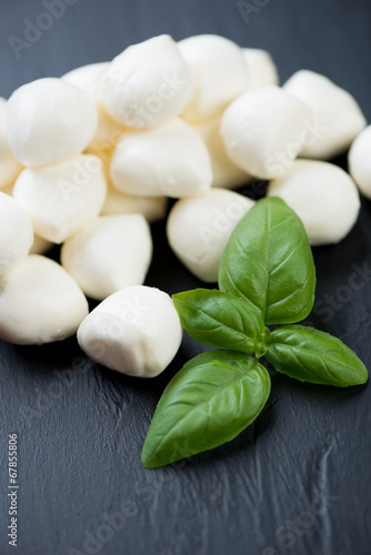 Close-up of mini mozzarella balls with green basil  studio shot
