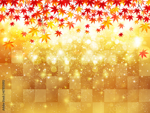 もみじ　紅葉　背景