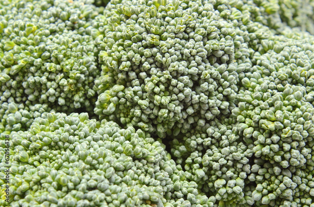 Fresh green broccoli as background