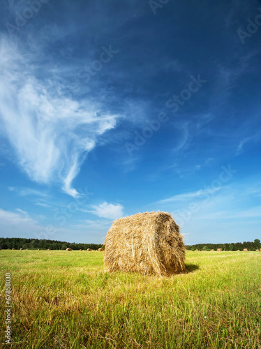 Hay bale with blue sky