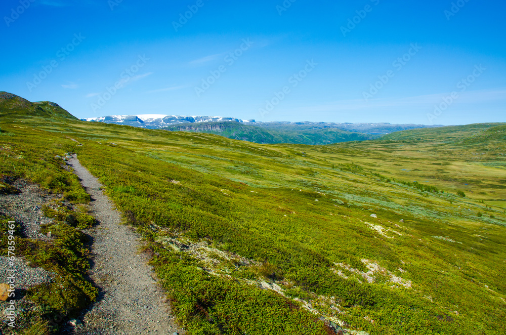 Trekking in the Landscape of Hardangervidda - Norway