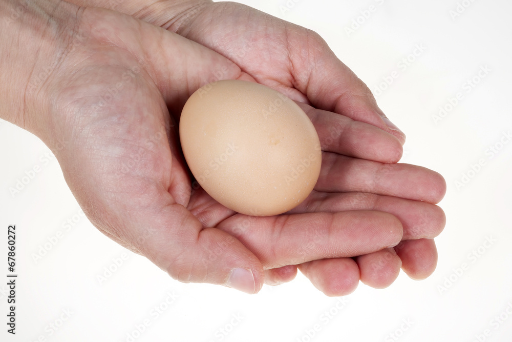 Hand holding hen egg, isolated on white background Hand holding hen egg, isolated on white background