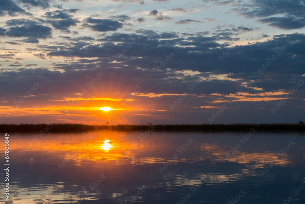 A u delta de l'Okavango au Botswana