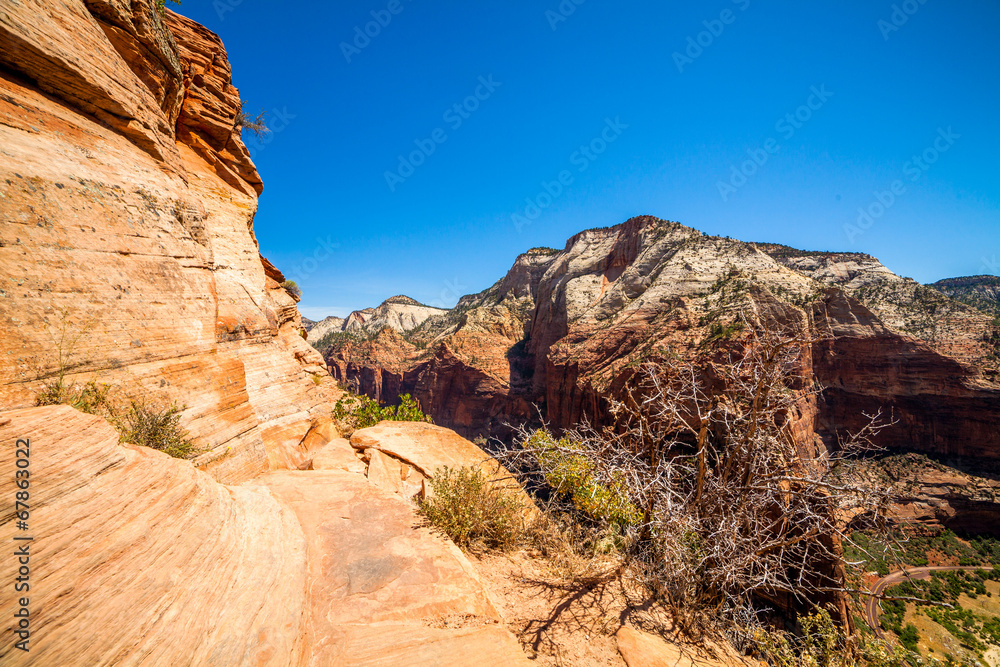 Landscape of Zion National Park, Utah, USA