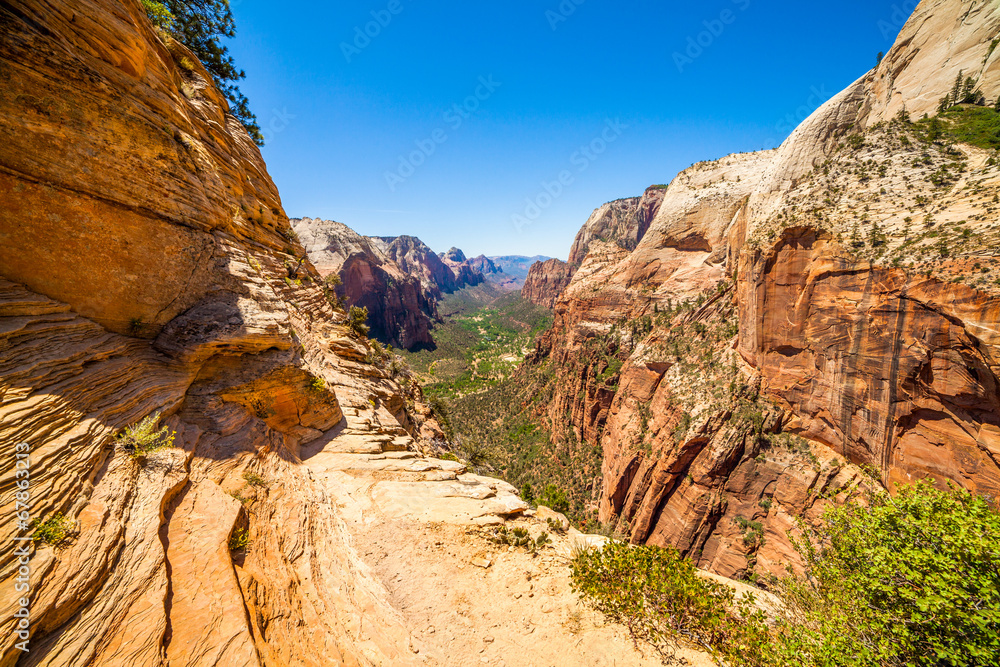 Beautiful view of canyon in Zion National Park.