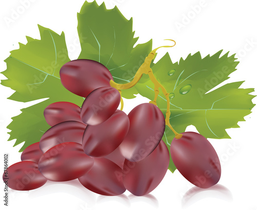 uva rosata