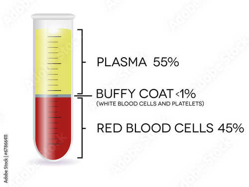 Test tube with blood cells, plasma, buffy coat, red blood cells