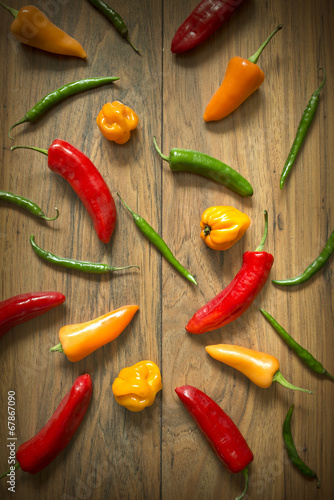 Fresh Chili Pepper Selection