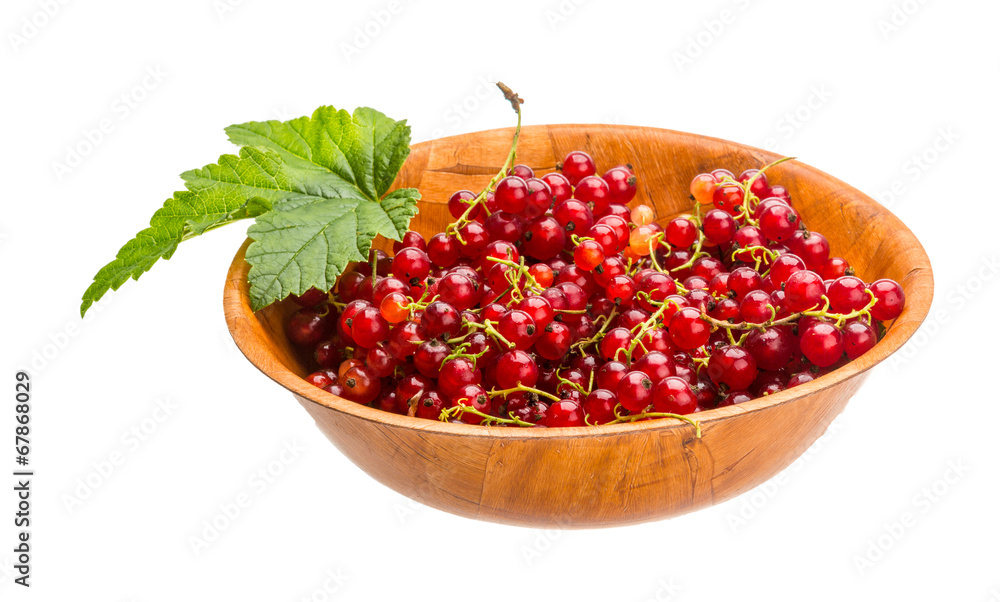 Red currant Red currant
