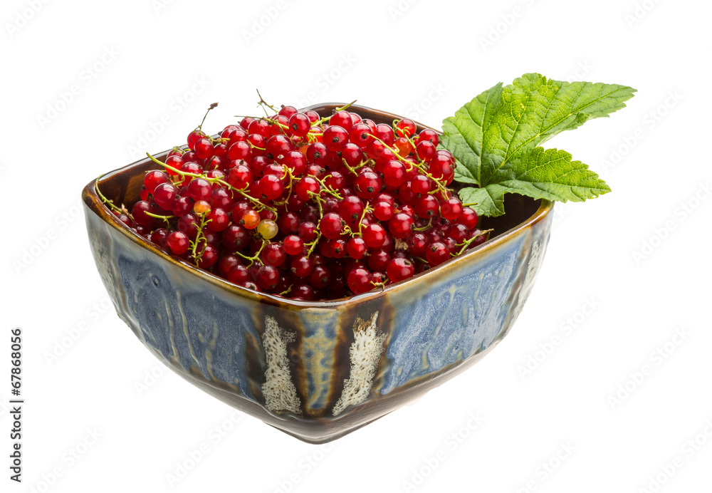 Red currant Red currant