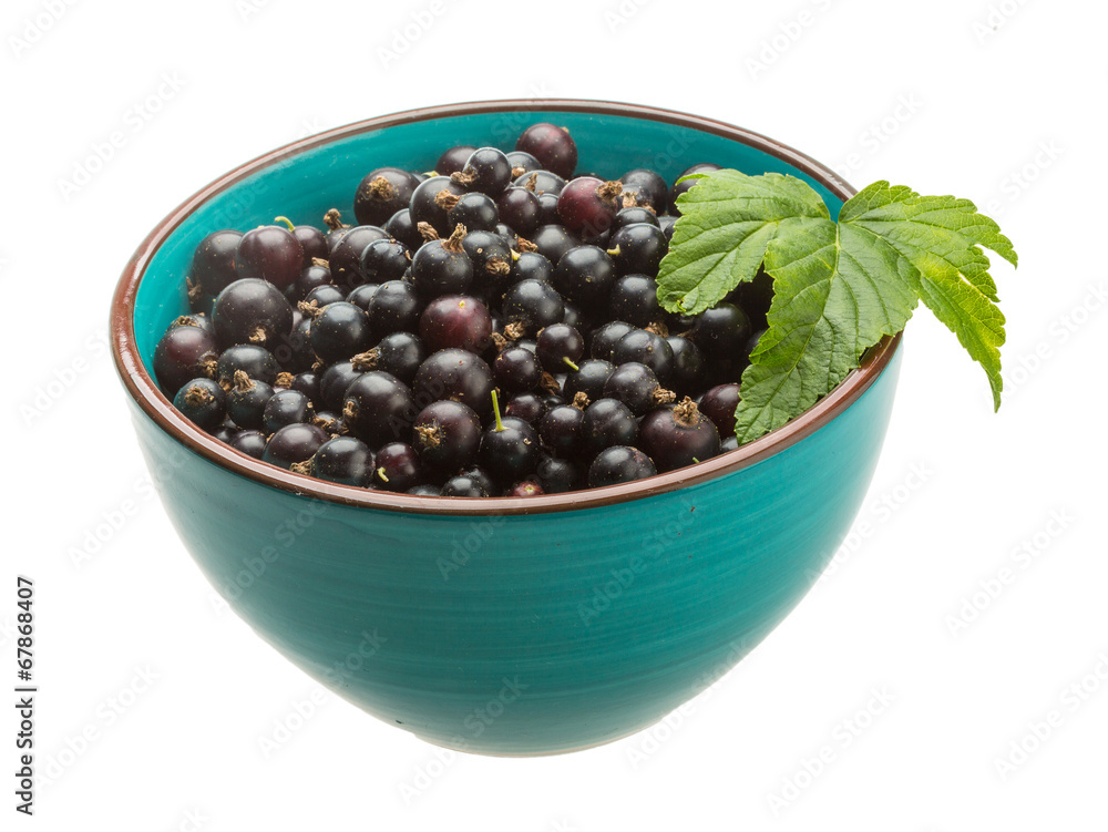 Black currant Black currant