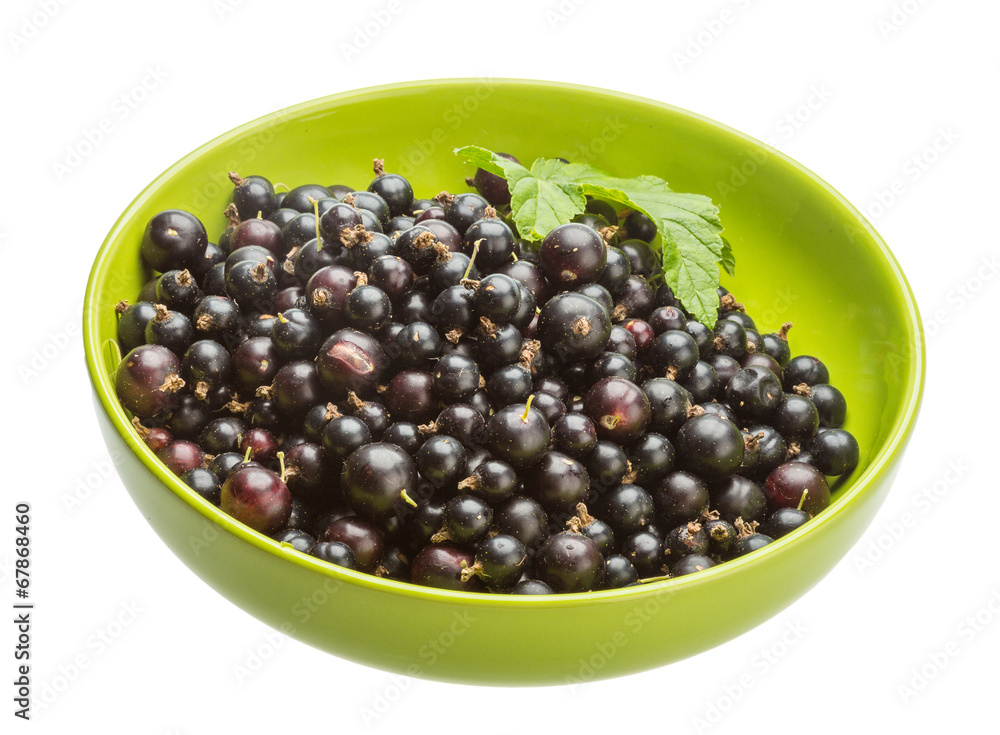 Black currant Black currant