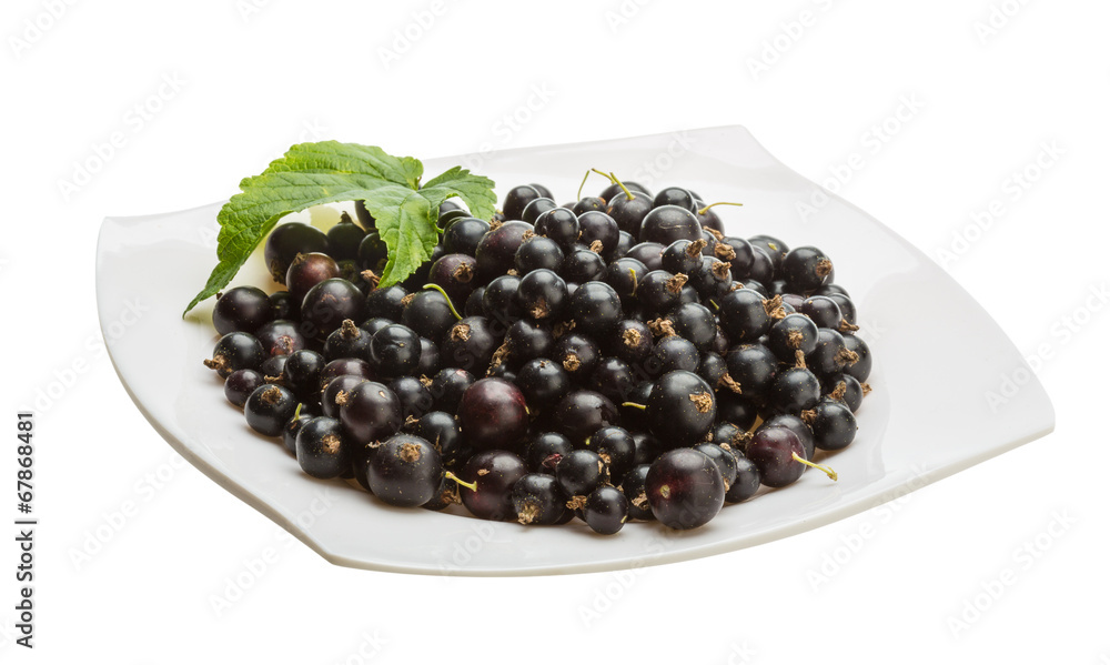 Black currant Black currant