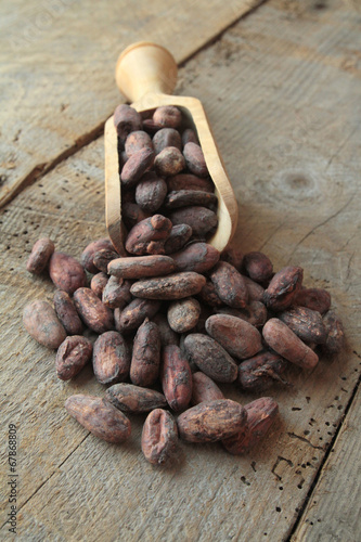 Tableau sur toile fèves de cacao