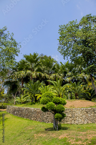 park on the white background