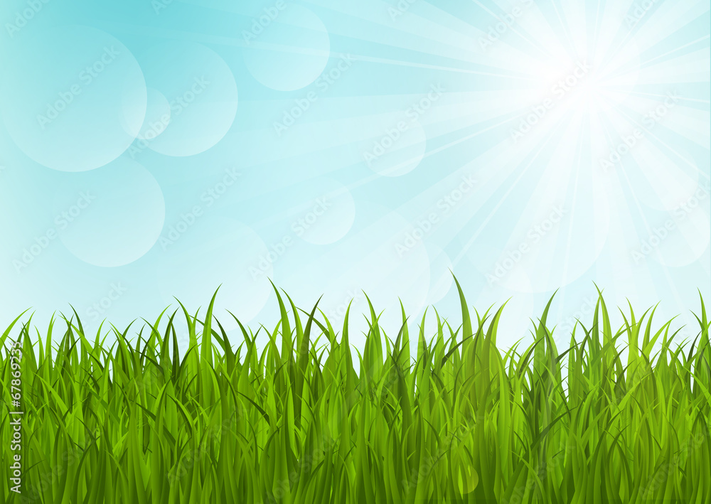 Green grass on sunny background