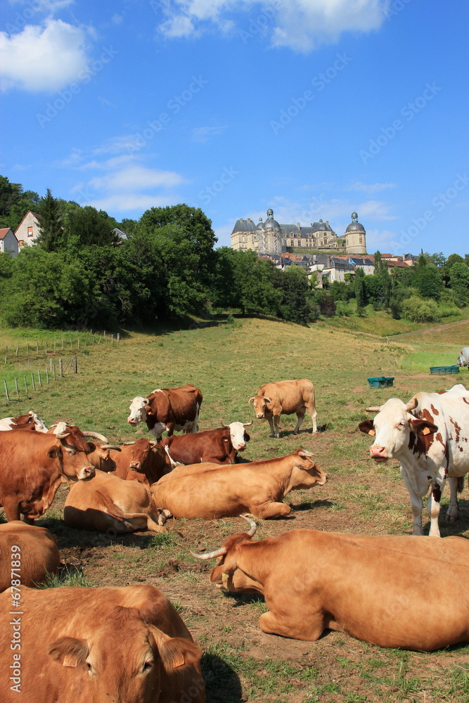 Obraz premium Château de Hautefort.