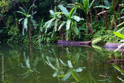 Lake in the jungle, Philippines