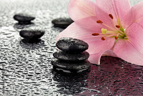 Mokre kamienie bazaltowe z lilią © CUKMEN
