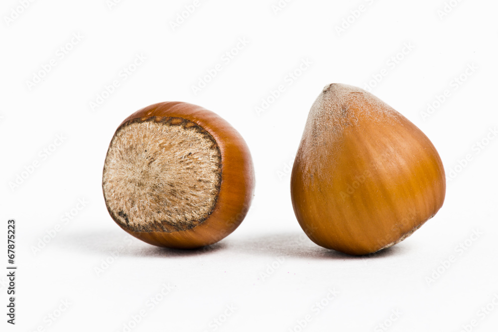 Hazelnuts isolated on white background Hazelnuts isolated on white background