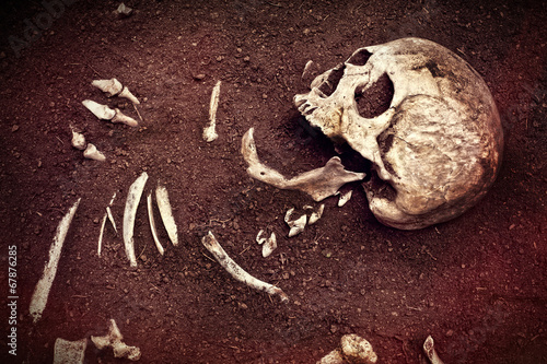 Foto human remains buried in the ground, skull and other bones of the body