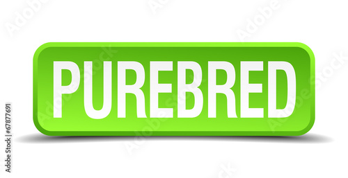 Purebred green 3d realistic square isolated button