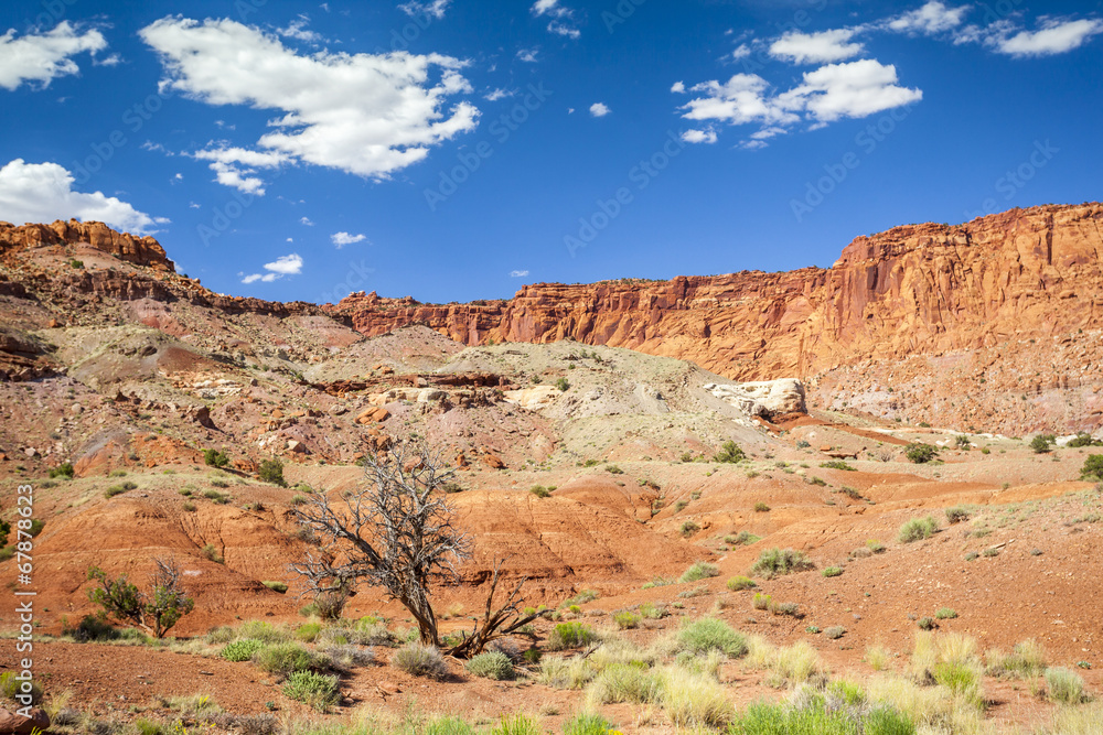 Rock formation in Capitol Reef National Park, USA Rock formation in Capitol Reef National Park, USA