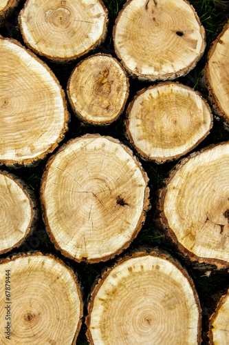 Stacked Logs  Natural Background