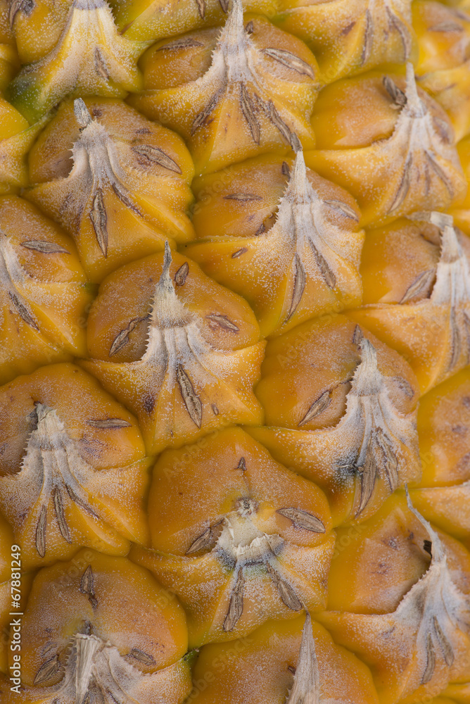 Fototapeta premium Pineapple texture macro close up.