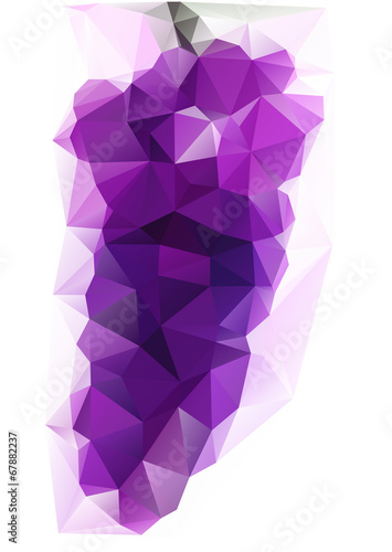 Triangulated Purple Grape