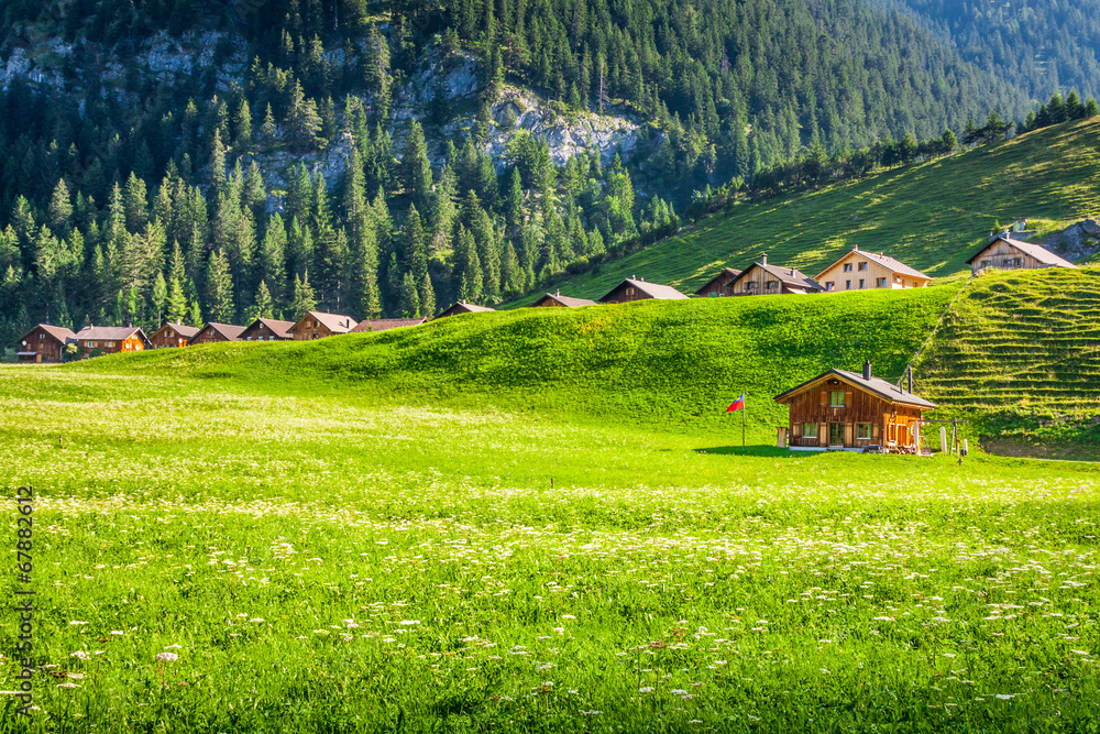 Wooden houses in Steg, Malbun, in Lichtenstein, Europe