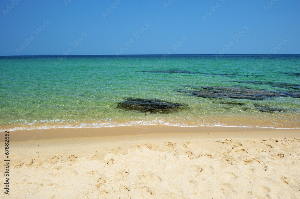 Obraz premium 透明な水のビーチ
